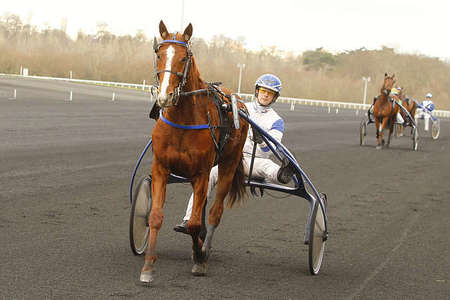 Actualités Hippiques